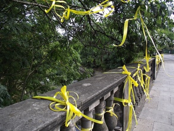 positivegreenfordfindinghanwell1enlargedA